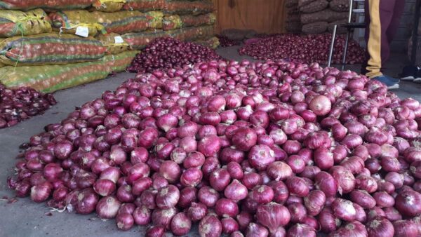 Onion prices