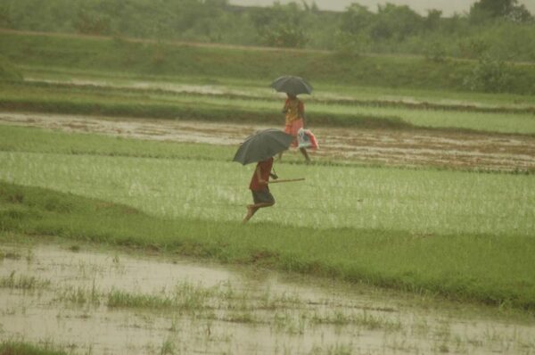 IMD Weather Update