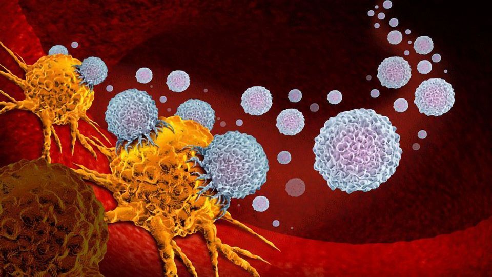 Cancer Immunotherapy Treatment