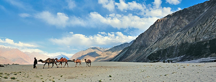 Leh-ladakh