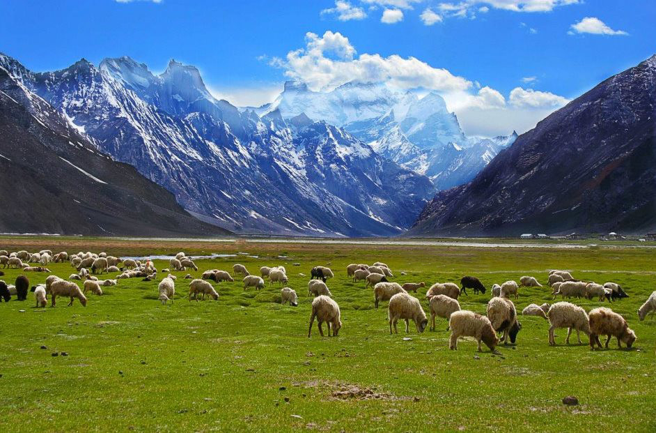 Leh-Ladakh