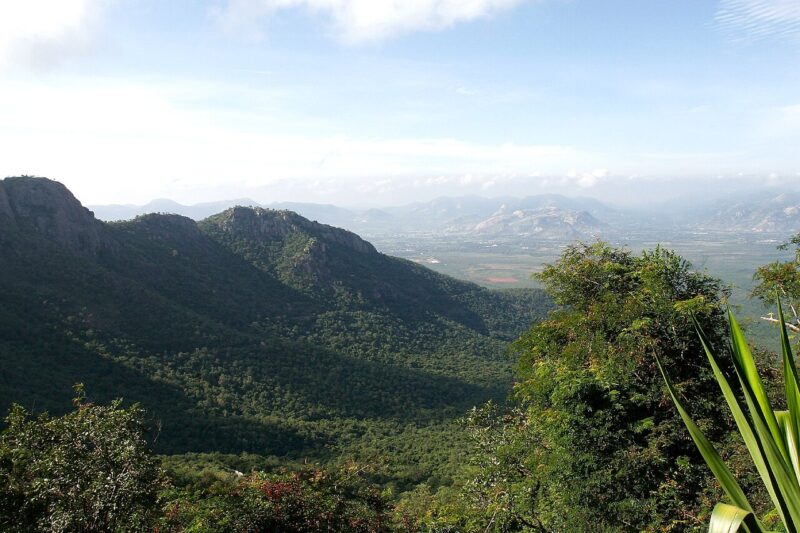 Tirupati Temple